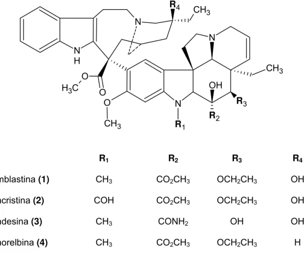 Figura 1 – Estruturas químicas da vimblastina (1), da vincristina (2), da  vindesina (3) e da vinorelbina (4)