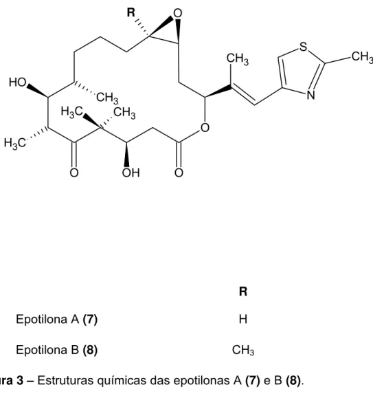Figura 3 – Estruturas químicas das epotilonas A (7) e B (8). 
