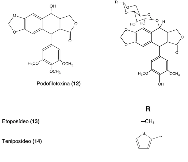 Figura 5 – Estruturas químicas da podofilotoxina (12), do etoposídeo (13) e  do tenoposídeo (14)