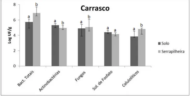 FIGURA  6  –  Médias  das  populações  de  bactérias  totais,  actinobactérias,  fungos,  bactérias solubilizadoras de fosfato e bactérias celulolíticas em amostras de solo e  serrapilheira procedentes de uma área com vegetação de carrasco 