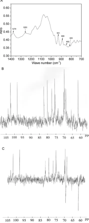 Fig. 1. FT-IR spectra (A) in KBr pellets; NMR spectra in D 2 O, (B) 13 C-NMR spectrum s, (C) DEPT spectrum of PLS from D