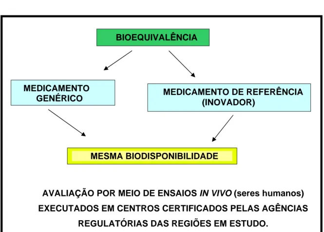 Figura 4: Demonstrativo de Bioequivalência 