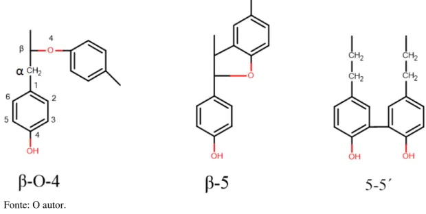 Figura  8  -  Principais  tipos  de  ligações  entre  as  unidades  fenilpropanóides  presentes  na  molécula de lignina