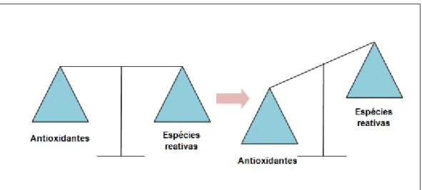 Figura 3  –  Representação esquemática do estresse oxidativo 