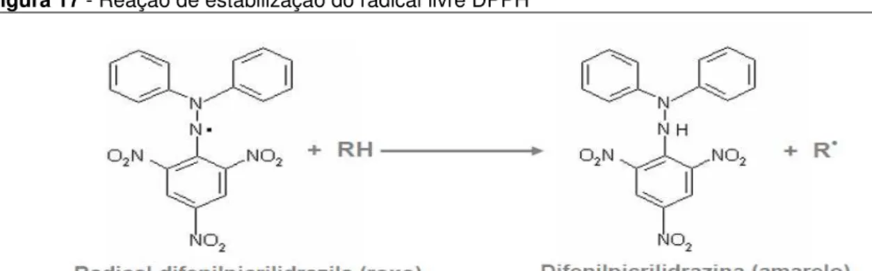 Figura 17 - Reação de estabilização do radical livre DPPH 