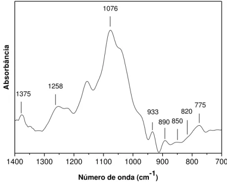 FIGURA 11: Espectro de absorção na região do infravermelho da fração de  polissacarídeos extraída à 100º C