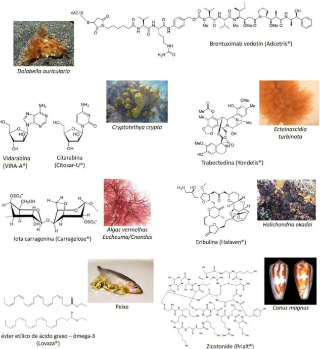 Figura  3.  Estruturas  químicas  e  fontes  dos  fármacos  derivados  de  produtos  marinhos  no  mercado  farmacêutico