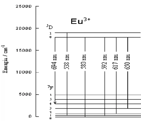 Figura 6  –  Esquema de energia eletrônica e processos fotoquímicos para  excitação indireta do Eu 3+   36 
