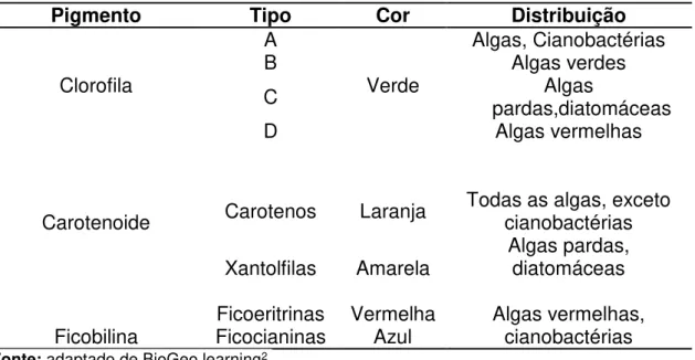 Tabela 1 – Clorofilas e pigmentos acessórios biossintetizados pelas algas. 