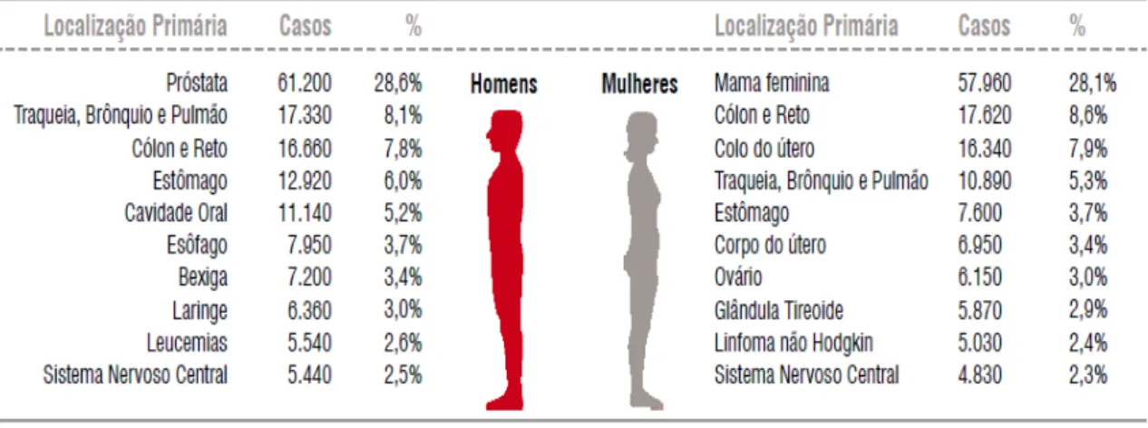 Figura 1 – Distribuição proporcional para homens e mulheres dos 10 tipos de câncer mais incidentes no  Brasil estimados para 2016 (INCA, 2016)