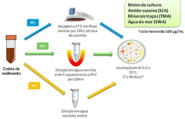 Figura 5 – Métodos empregados no isolamento das bactérias do sedimento do arquipélago de Fernando de  Noronha, PE.