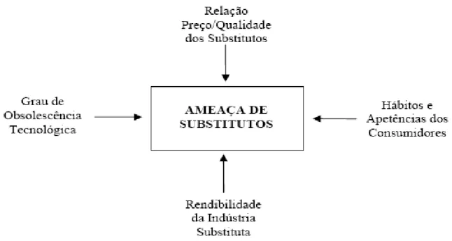 Figura 6 - Ameaça de Substitutos (PORTER, 1989). 