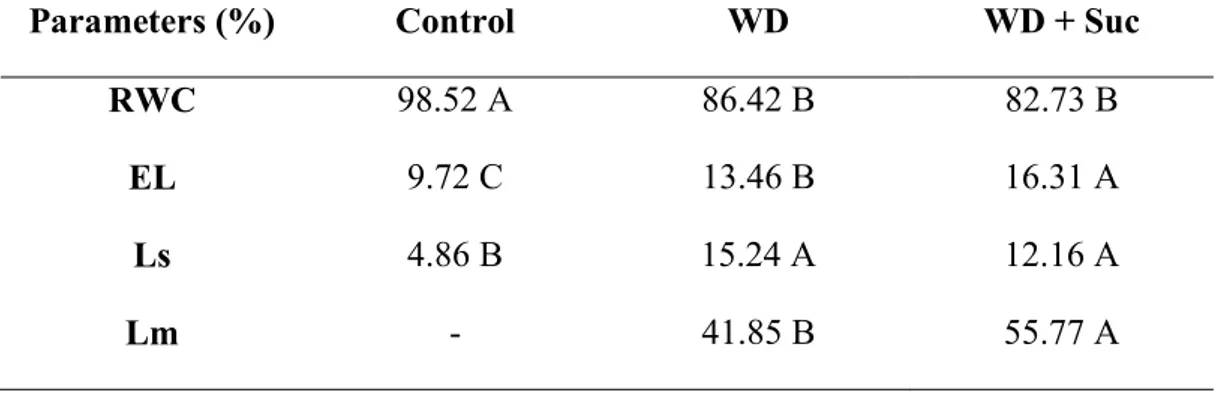 Table 1: Relative water content (RWC), electrolyte leakage (EL), stomatal (Ls) and metabolic  (Lm) limitation in leaves of sugarcane subjected to water deficit (WD) and spayed with 50 mM  sucrose (WD + Suc) for five days