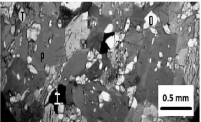 Fig. 2 - Pargasite (P), oligoclase (O), abundant titanite  (T)  and  some  ilmenite  (I)  are  some  of minerals  found  in  amphibolites,  which  have  a granoblastic texture.
