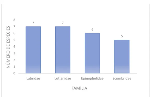 Gráfico 2.Principais famílias capturadas no Rio Grande do Norte. 