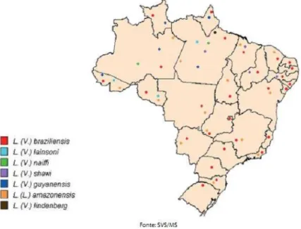 Figura  2  -  Distribuição  das  espécies  de  Leishmania  responsáveis  pela  transmissão  da  leishmaniose tegumentar americana, Brasil  –  2005.