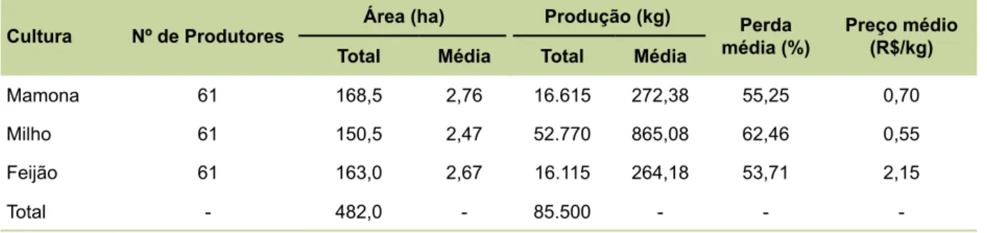 Tabela 4. Número de produtores, área, produção, perdas e preços da microempresa em 2010.