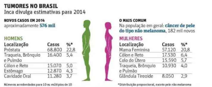 Figura 3 - Estimativa de Tumores no Brasil 