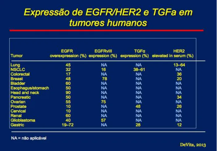 Figura 7 - Expressão de EGFR/HER2 e TGFa em diferentes tumores humanos 