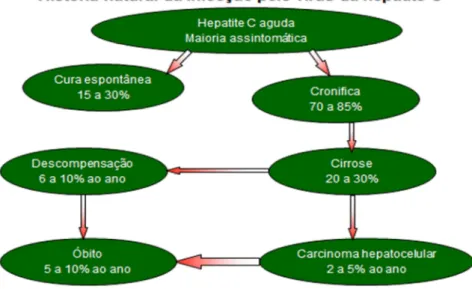 Figura 5 – História natural da infecção pelo vírus da hepatite C (LIMA;SANTOS  et al., 2010) 