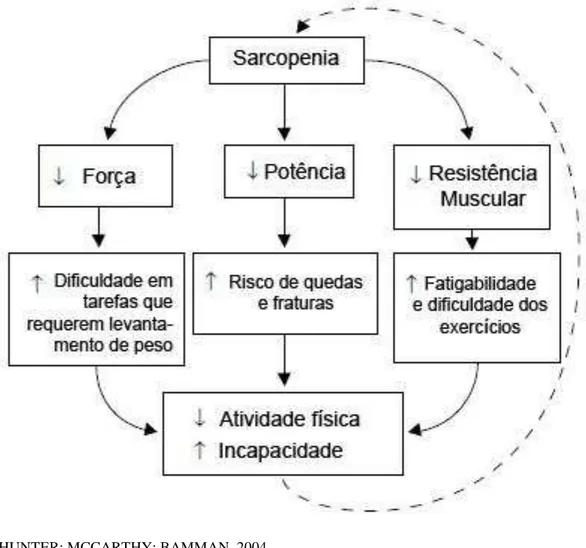 Figura 4 - Ciclo das consequências funcionais da sarcopenia relacionada à idade. 