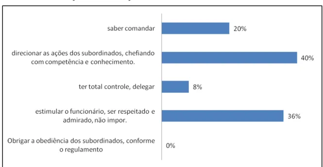 Gráfico 10 - Definição de Liderança