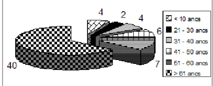 GRÁFICO 1  –  DISTRIB UIÇÃO DOS DEFICIENTES VISUAIS QUANTO À IDADE. SOB RAL/CE, 2 0 0 3