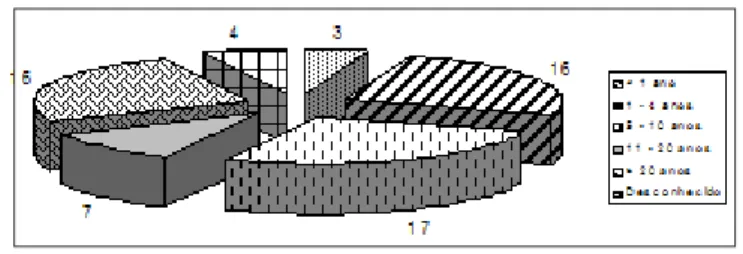 GRÁFICO 3  –  DISTRIB UIÇÃO DOS DEFICIENTES VISUAIS QUANTO AO ESTÁGIO DE ACEITAÇÃO DA DEFICIÊNCIA.