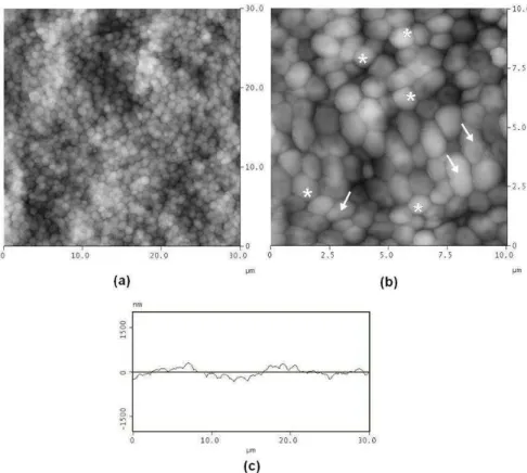 FIGURA 7. Imagens de MFA da amostra M24. Varredura de 30 x 30 µm (a) e 10 x 10 µm  (b)