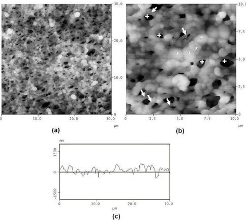 FIGURA 9. Imagens de MFA da amostra M72. Varredura de 30 x 30 µm (a) e 10 x 10 µm  (b)