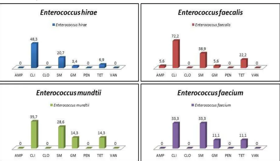 Figura 6 – Percentual da resistência antimicrobiana das estirpes de  E. hirae  (29/80),  E
