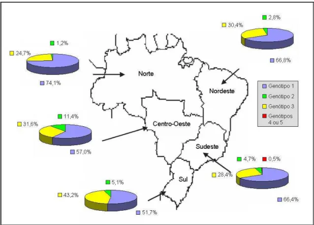 Figura 2: Distribuição dos genótipos do vírus da hepatite C nas regiões brasileiras. (Fonte: 