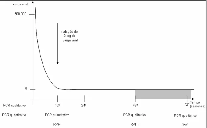 Figura 6: Gráfico da relação entre a duração do tratamento e a redução da carga viral do vírus  da hepatite C em pacientes portadores do genótipo 1