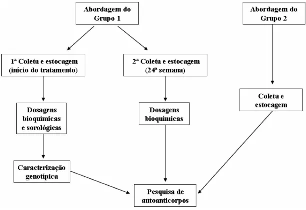 Figura 9: Esquema geral da abordagem dos indivíduos envolvidos na pesquisa. 