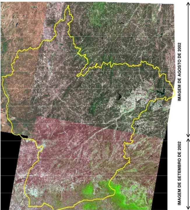 Figura 1: Mosaico com imagens do satélite LANDSAT (imagens do INPE - Instituto  de  Pesquisas  Espaciais,  fornecidas  pela  FUNCEME  –  Fundação  Cearense  de  Meteorologia)  sobre  a  bacia  do  Alto  Jaguaribe,  do  ano  2002,  observando-se  a  diferen