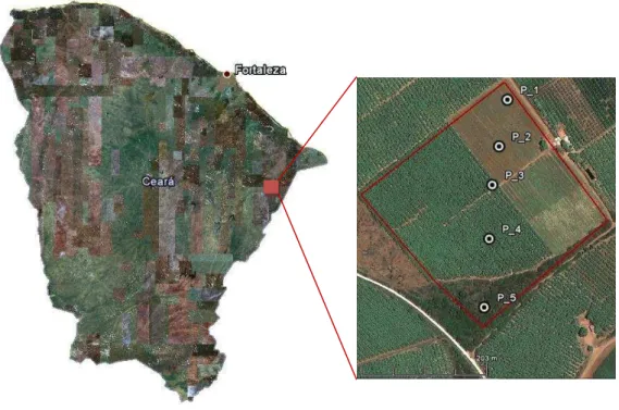 Figura 4 – Mapa esquemático com a localização da área de estudo no estado do Ceará (Fonte: Google Earth,  2011)