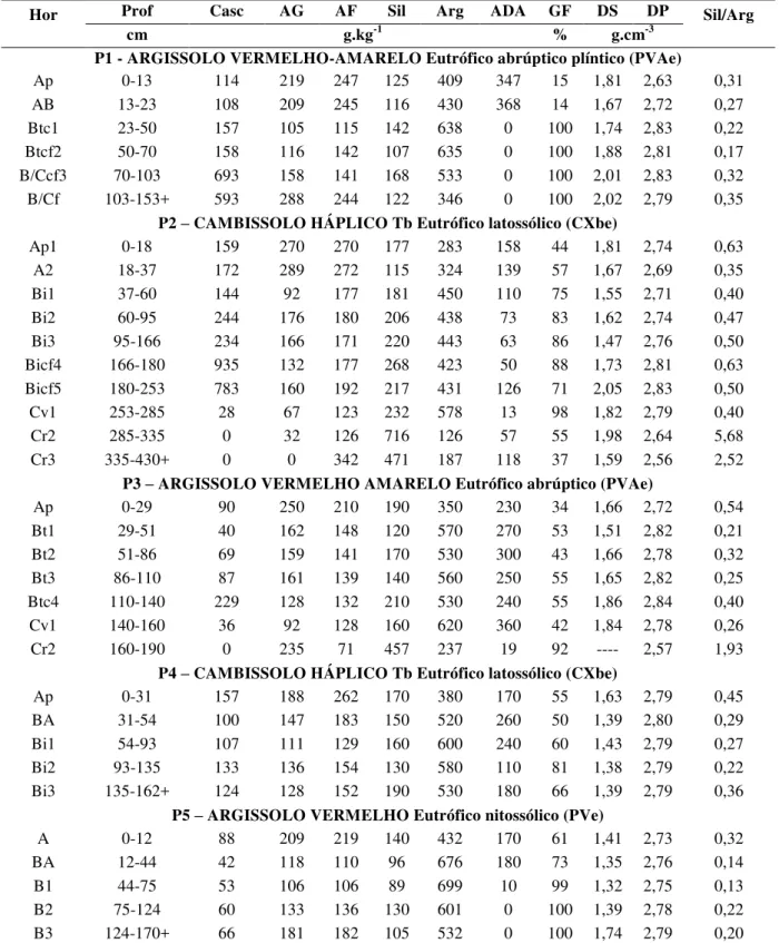 Tabela 4 – Características físicas dos perfis P1, P2, P3, P4 e P5  