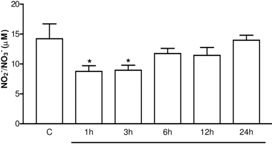 Figura 7 - Concentração de NO 2 - /NO 3 -  (µM) no líquor de ratos submetidos à AZy. A primeira coluna  representa o grupo controle (C) e as demais colunas representam a cinética em diferentes intervalos  de tempo (1, 3, 6,12 e 24h) da concentração de nitr