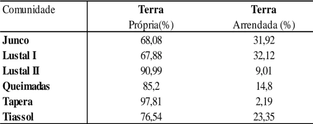 Tabela 4: Medidas de dimensionamento nas UPAFs em média. 