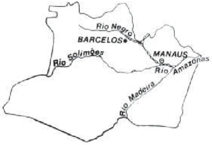 FIGURA 1. Localização de Barcelos no Estado do Amazonas