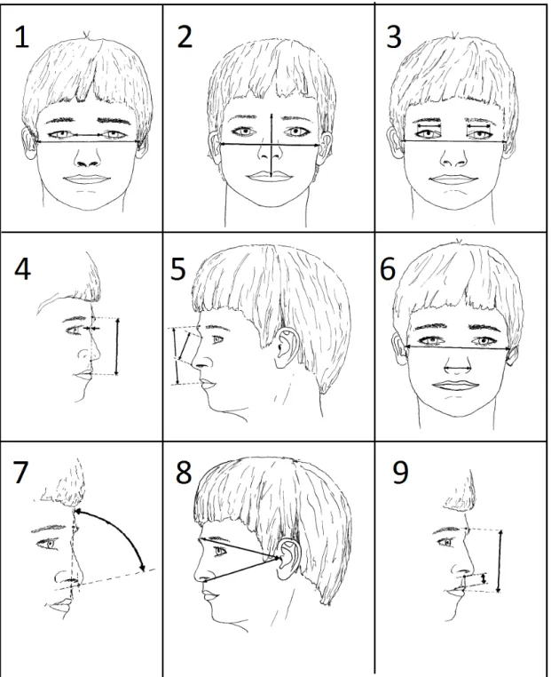 Figura  2:  imagens  representativas  dos  parâmetros  faciais  1-9  de  STENGEL- STENGEL-RUTKOWSKI et al., 1984