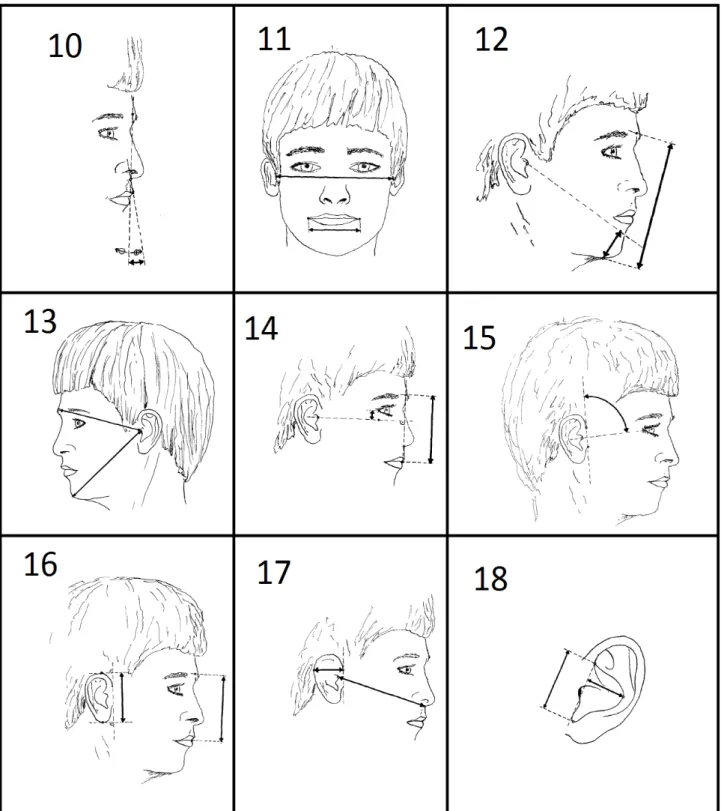 Figura  3:  imagens  representativas  dos  parâmetros  faciais  10-18  de  STENGEL- STENGEL-RUTKOWSKI et al., 1984