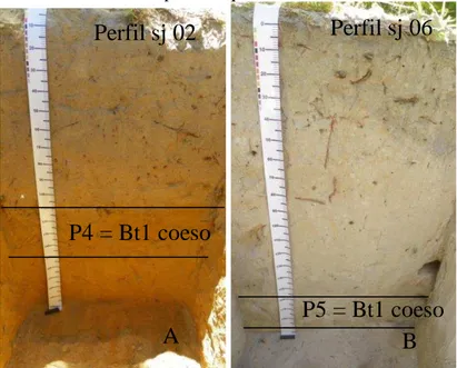 Figura  2  –   Fotos  dos  perfis  destacando-se  os  horizontes  utilizados  no  experimento:  A  –   perfil  (2  noni)  com  Bt  sendo  amostra  P1  =  Bt1  coeso  e  amostra  P6  =  Bt2  não  coeso  e  B  –  perfil  (3  coco)  com  Bt  coeso  sendo  amo