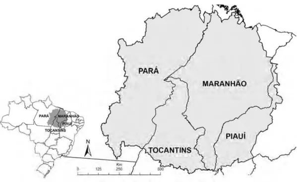 Figura 13 – Localização do agregado 1 da hanseníase no Brasil. 