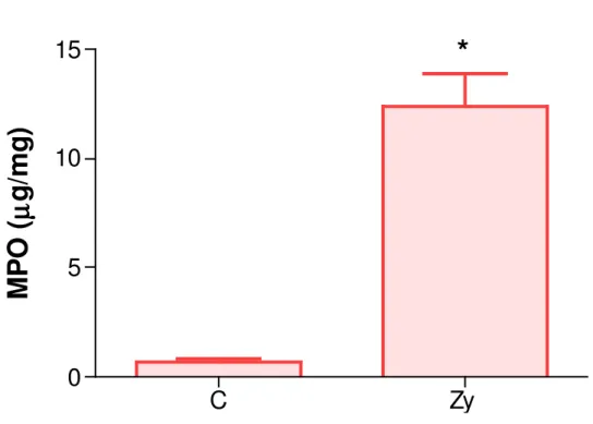 Figura  5.  Estudo  da  atividade  de  mieloperoxidase  na  artrite  da  ATM  de  ratos  induzida  por  zymosan  (Zy)