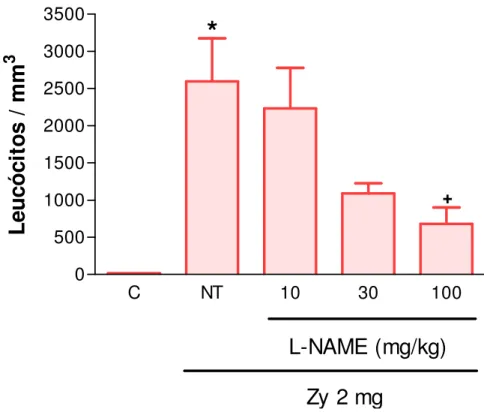 Figura 11. Efeito da administração de L-NAME sobre influxo celular no líquido  sinovial na artrite da ATM de ratos induzida por zymosan (Zy)