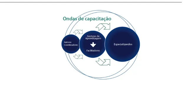 Figura 1 - Ondas de capacitação, Projetos Educacionais, IEP/HSL e MS. 