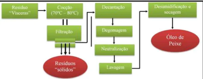 Figura 5- Processo de extração e purificação do óleos das vísceras da Tilápia do Nilo