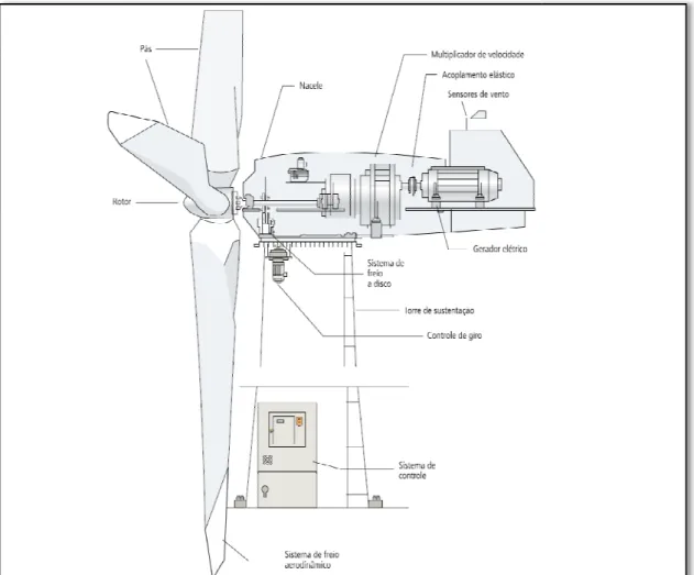Figura 5 – Esqu