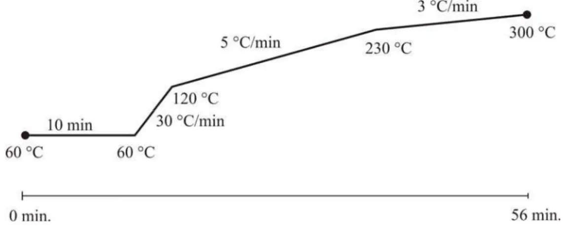 Figura 7. Esquema do programa de temperatura de separação dos HPAs. 